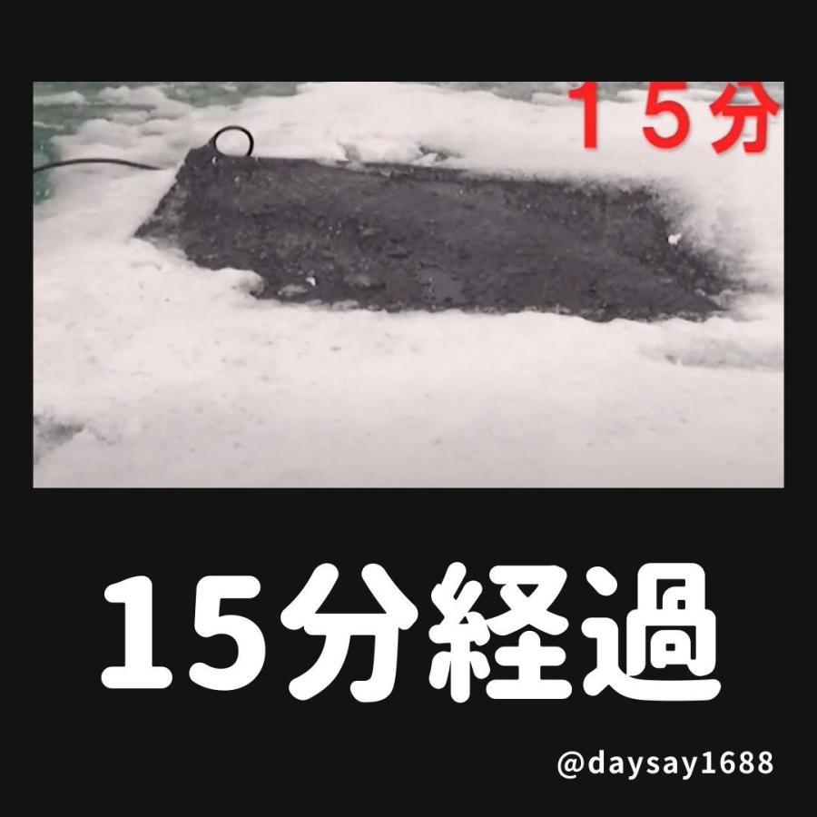 融雪マット売ります TYG-400-1 (4000X960 t=6) 融雪マット 玄関用 電気で玄関周りの雪を