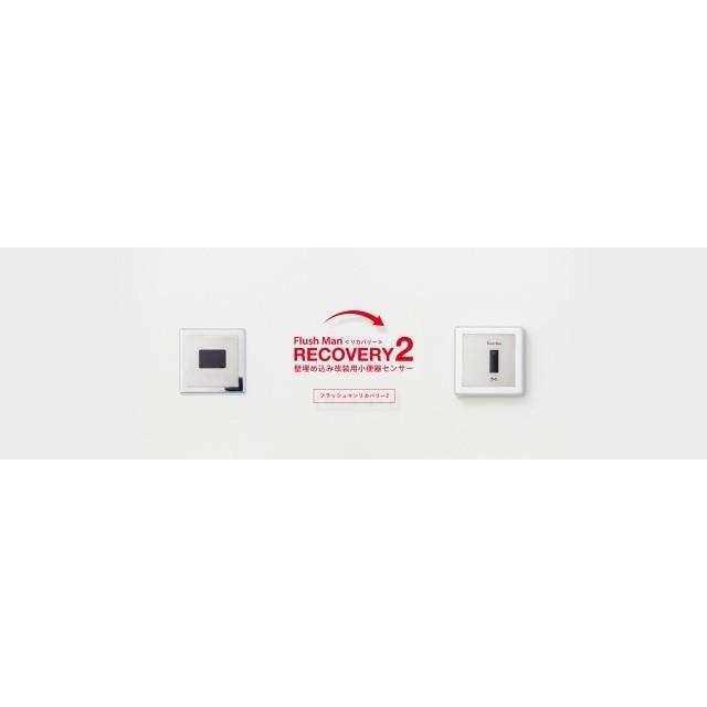 FM8TWA 100Vタイプ ミナミサワFlush Manリカバリー2 壁埋め込み FM8TWA 100Vタイプ ミナミサワFlush Manリカバリー2 壁埋め込み