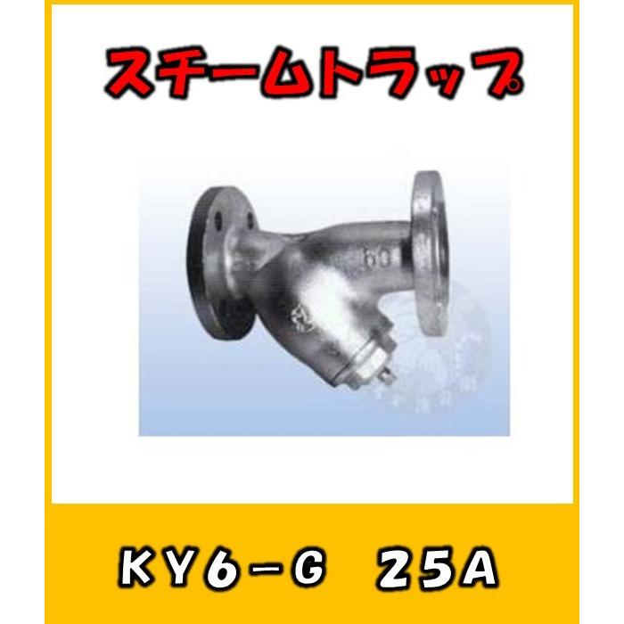 KY6-G2　25A　Y形ストレーナー　フランジ型　鋳鉄製　ベン