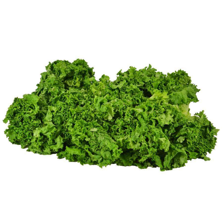 最大44 Offクーポン グリーンカール グリーンリーフ 箱売り Wantannas Go Id