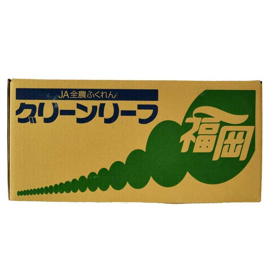 最大44 Offクーポン グリーンカール グリーンリーフ 箱売り Wantannas Go Id