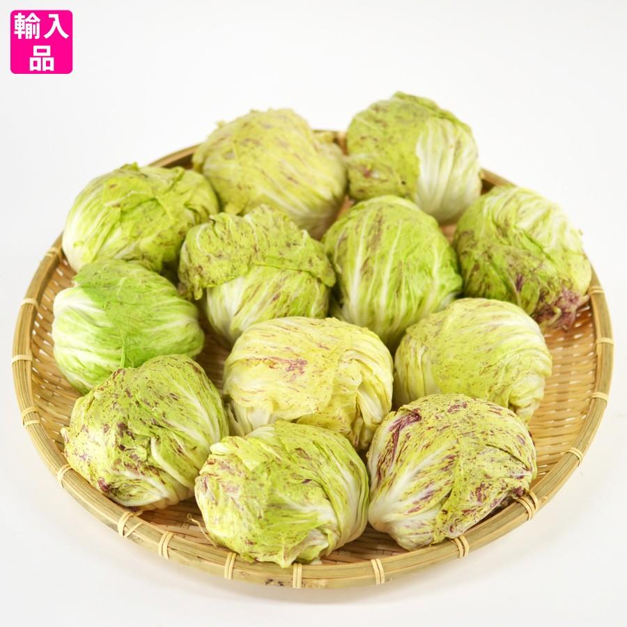 カステルフランコ 箱売