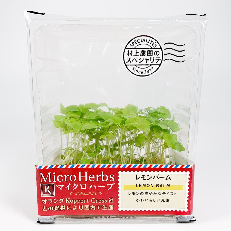 レモンバーム マイクロハーブ 村上農園 Murakami Farm : 夜の八百屋