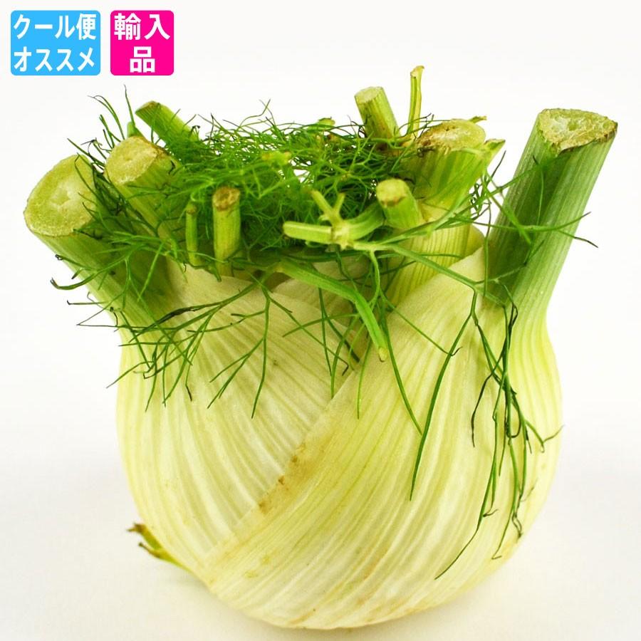 ウイキョウ 茴香 （葉なしフェンネル Fennel fenouil Finocchio） : 夜