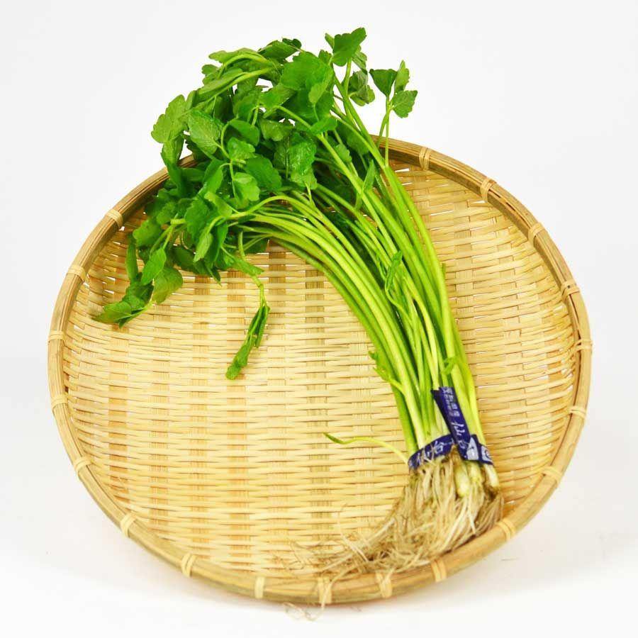 芹 せり S210 0270 00 000 夜の八百屋さん 通販 Yahoo ショッピング