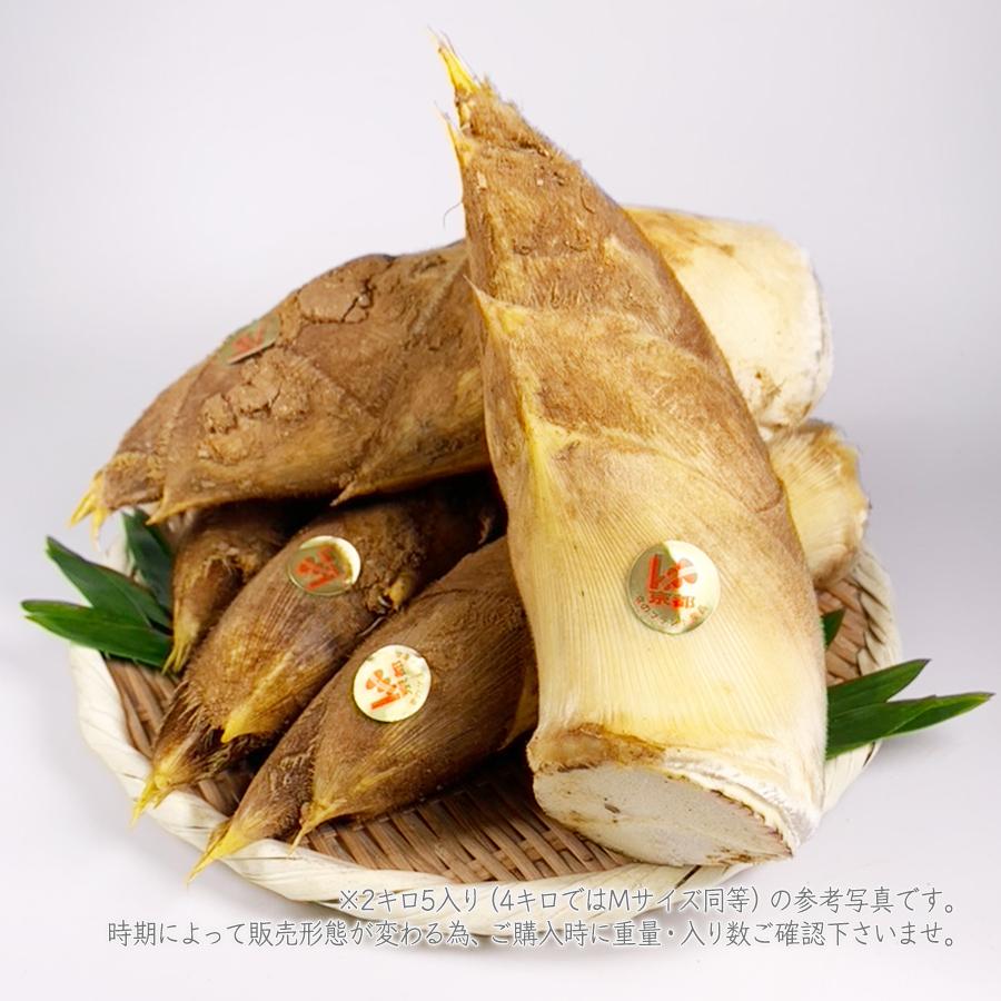 京たけのこ 2キロ箱売り 京野菜 京のブランド産品 : 夜の八百屋さん 