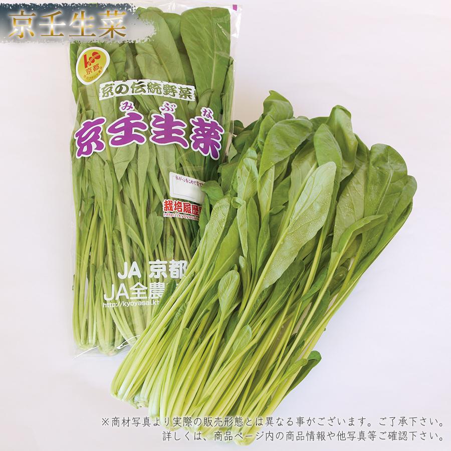 2021春大特価セール! 京壬生菜 京野菜 京のブランド産品 仏具 掛軸 茶 金 ■ 浄土真宗 本願寺派(西) ■ 20代 三点セット 阿弥陀如来立像 親鸞上人 蓮如上人 鋲・フック付 掛け軸 高さ19.5cm