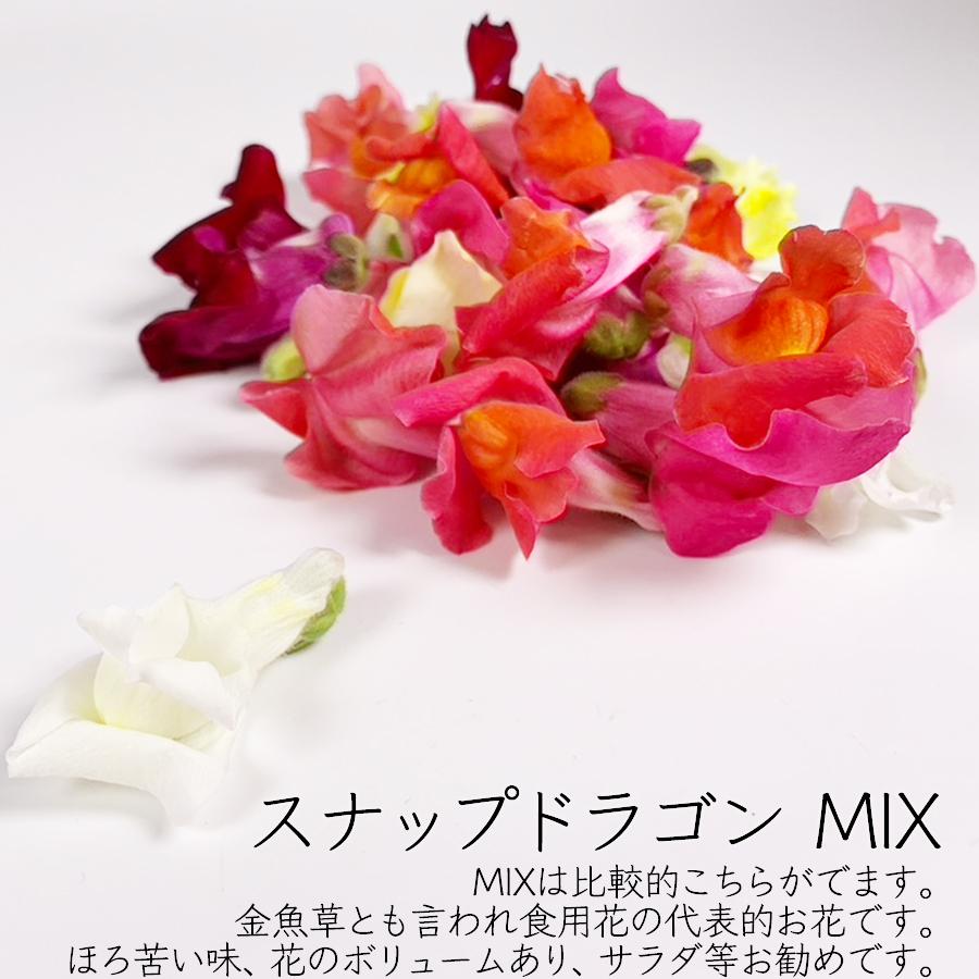 色が選べる食用花 エディブルフラワー 愛知県産 S355 53 00 001 夜の八百屋さん 通販 Yahoo ショッピング