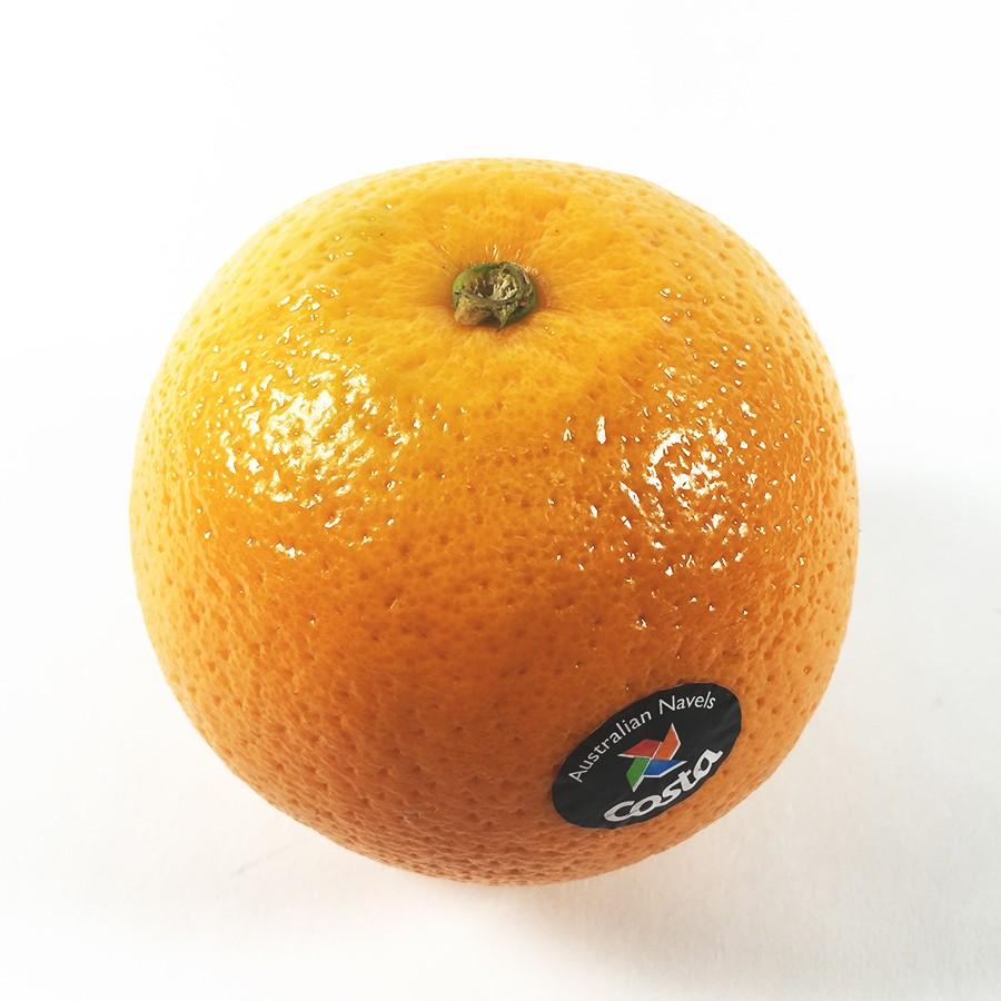 ネーブルオレンジ 88玉サイズ 小さめ : 夜の八百屋さん - 通販