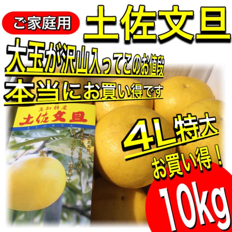 文旦 高知 土佐文旦 貴重な4Lサイズ 10kg ご家庭用 ぶんたん 文旦 高知 土佐文旦 貴重な4Lサイズ 10kg ご家庭用 ぶんたん
