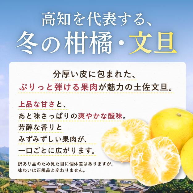 文旦 土佐文旦 10kg サイズお任せ (約20〜30玉）訳あり ご家庭用 高知