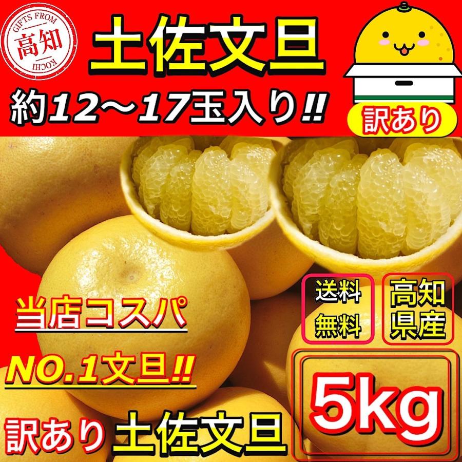 文旦 土佐文旦 5kg サイズお任せ (約12〜17玉)訳あり ご家庭用 文旦 土佐文旦 5kg サイズお任せ (約12〜17玉)訳あり ご家庭用