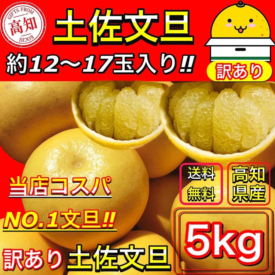 文旦 土佐文旦 5kg サイズお任せ (約12〜17玉）訳あり ご家庭用 高知県産 5キロ ぶんたん 露地文旦 【サイズお任せ５キロ　土佐文旦】２月下旬〜３月上旬発送｜yosakoi-yafuu-store