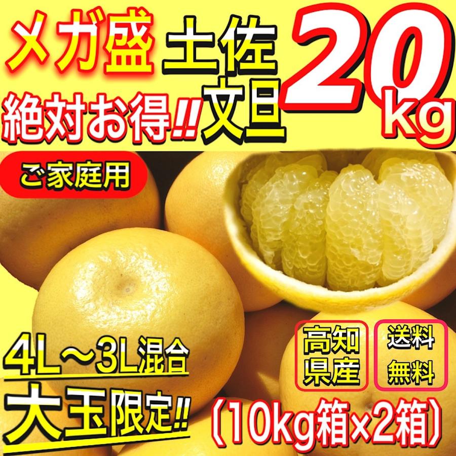 土佐文旦 メガ盛 20kg （10kg×２箱） 高知県産 文旦 大玉4L3L 混合 20キロ  ぶんたん  訳あり 【メガ盛２０kg（４L〜３L混合）土佐文旦】2日〜3営業日で発送｜yosakoi-yafuu-store