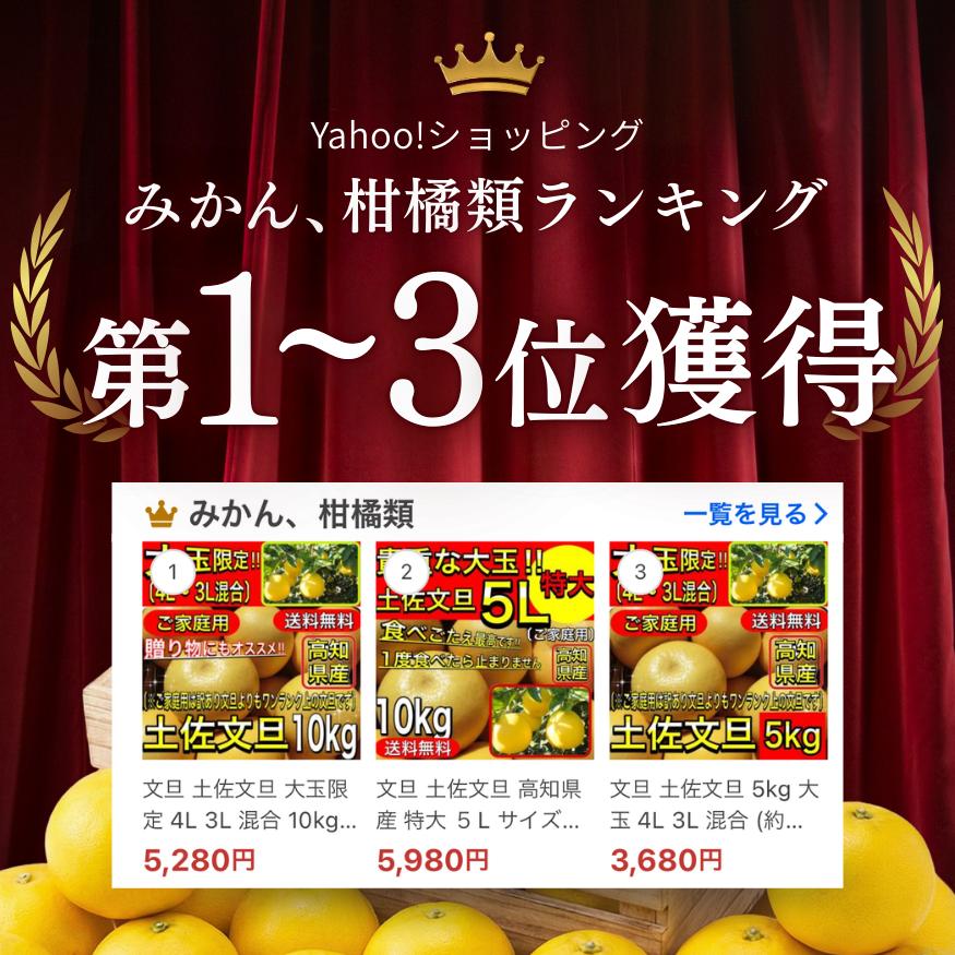 土佐文旦 メガ盛 20kg （10kg×2箱） 高知県産 文旦 大玉4L3L 混合 20