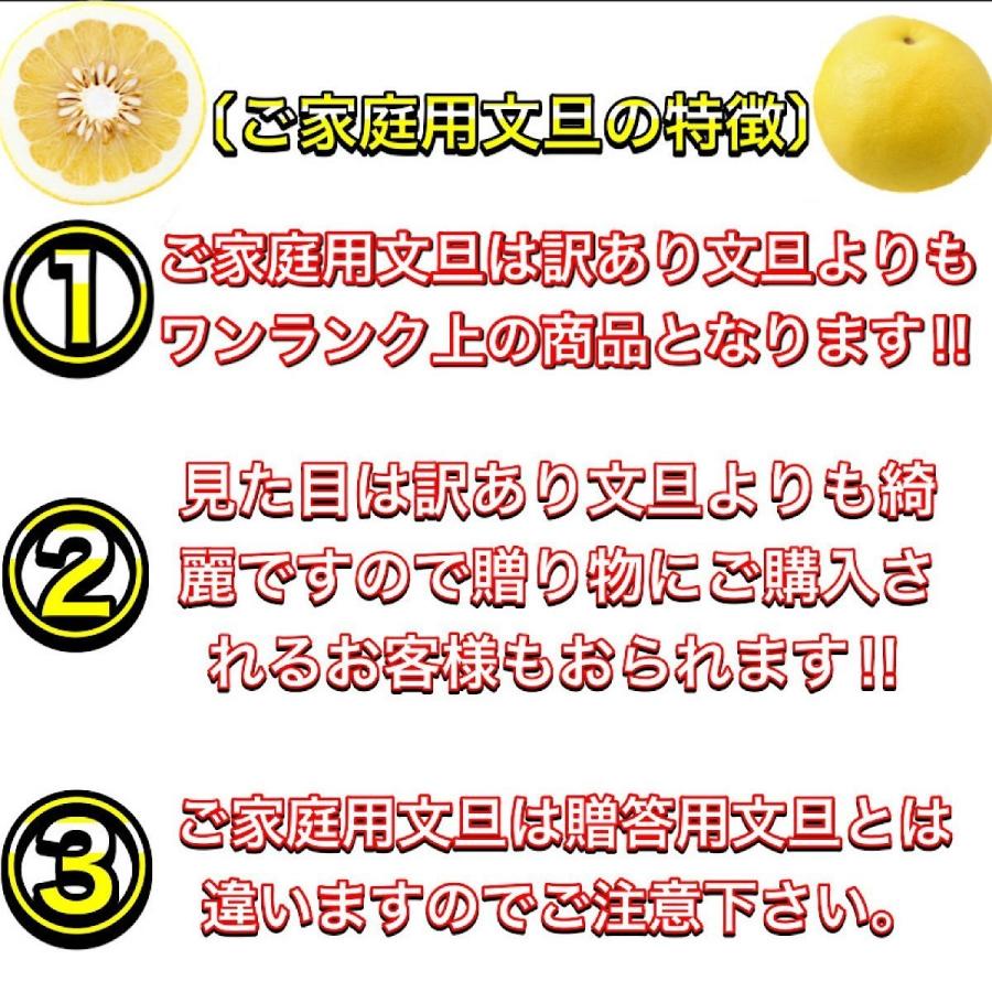 土佐文旦 メガ盛 20kg （10kg×２箱） 高知県産 文旦 大玉4L3L 混合 20キロ  ぶんたん  訳あり 【メガ盛２０kg（４L〜３L混合）土佐文旦】2日〜3営業日で発送｜yosakoi-yafuu-store｜03