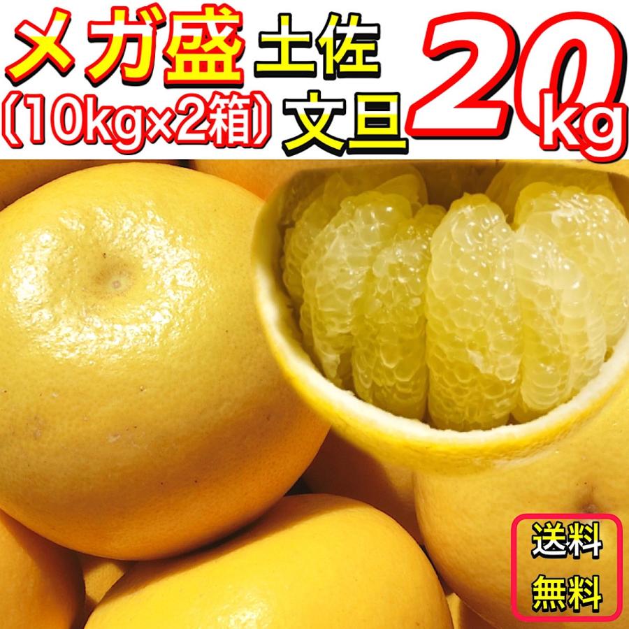 土佐文旦 メガ盛 20kg (10kg×2箱) 高知県産 文旦 大玉4L3L 土佐文旦 メガ盛 20kg (10kg×2箱) 高知県産 文旦 大玉4L3L
