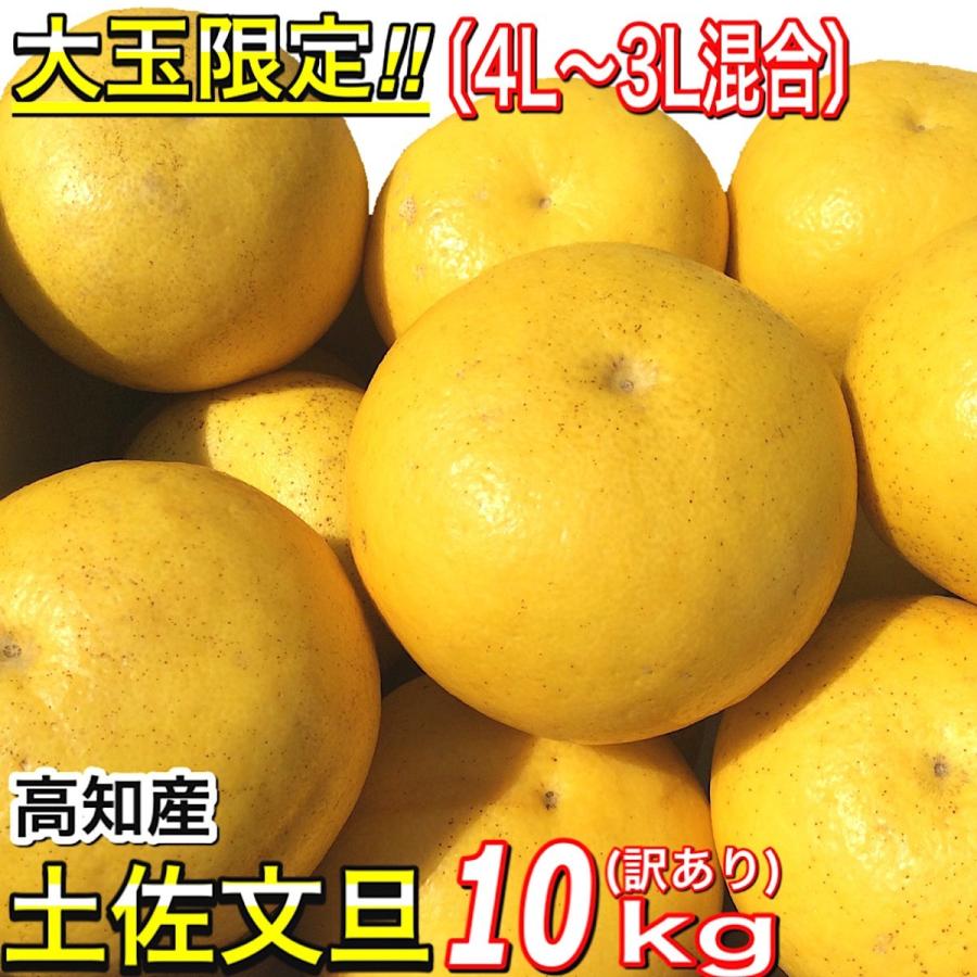 訳あり 文旦 大玉限定 土佐文旦 4L 3L 混合 10kg 高知県産 ぶん 訳あり 文旦 大玉限定 土佐文旦 4L 3L 混合 10kg 高知県産 ぶん