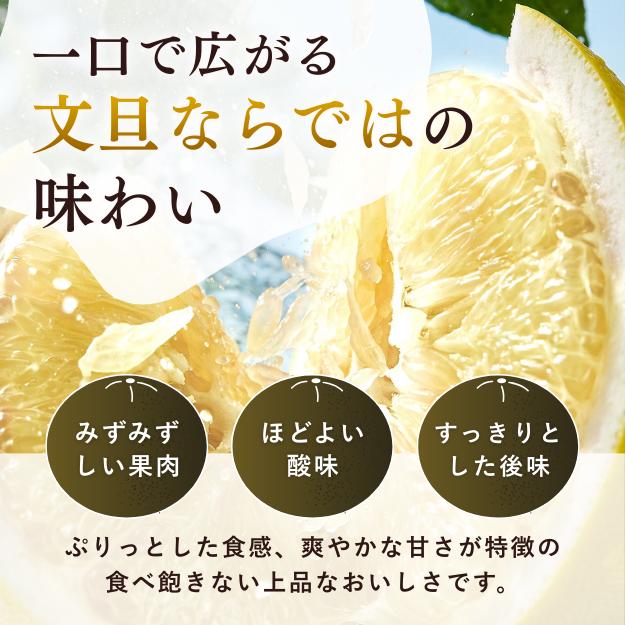 訳あり 文旦 大玉限定 土佐文旦 4L 3L 混合 10kg 高知県産 ぶんたん
