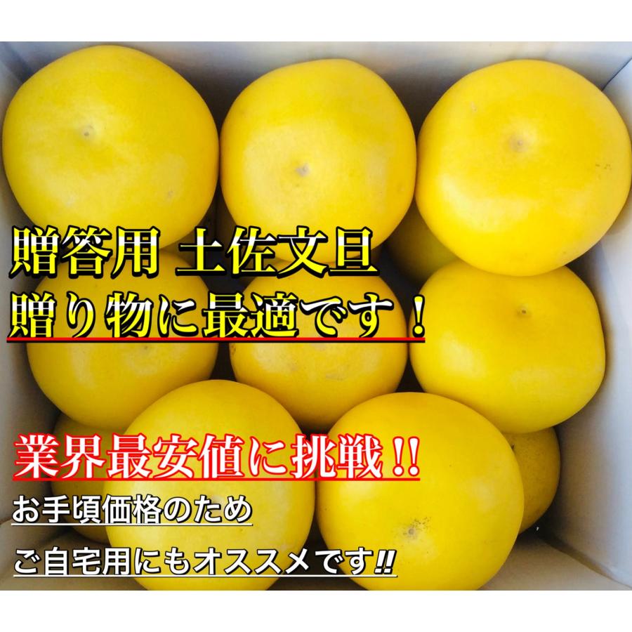 贈答用》 土佐文旦 高知県産 文旦 大玉 4L または 3L 10kg ぶん 贈答用》 土佐文旦 高知県産 文旦 大玉 4L または 3L 10kg ぶん