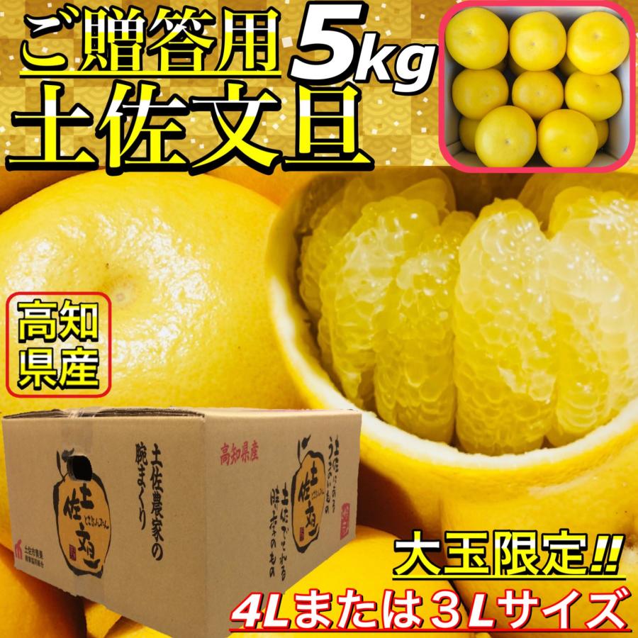 贈答用 土佐文旦 高知県産 文旦 大玉 4L または 3L 5kg ぶんたん 露地 