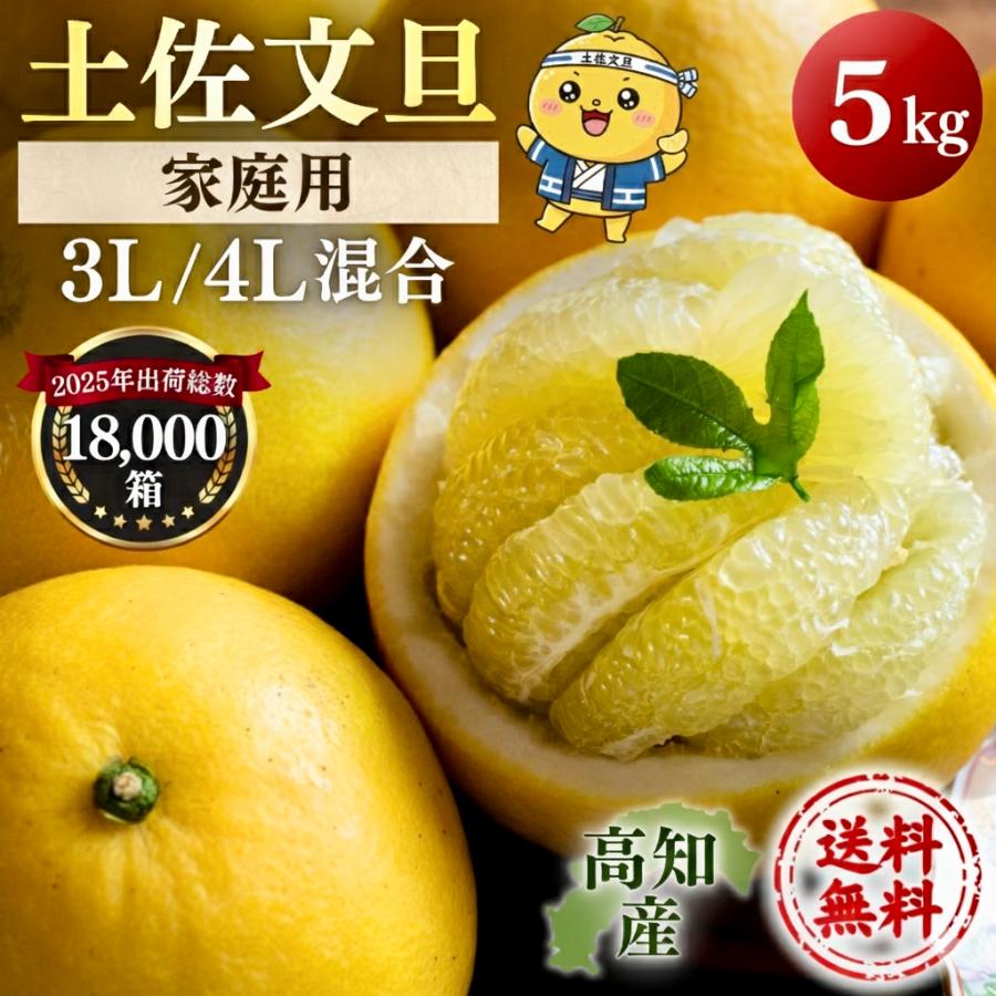 文旦 土佐文旦 5kg 大玉 4L 3L 混合 (約10玉前後）訳あり 家庭用 5キロ