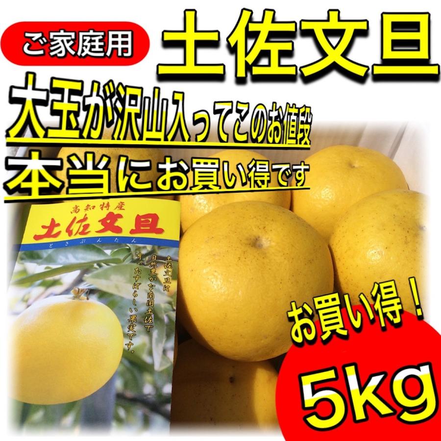 文旦 土佐文旦 5kg 大玉 4L 3L 混合 (約10玉前後）訳あり 家庭用 5キロ