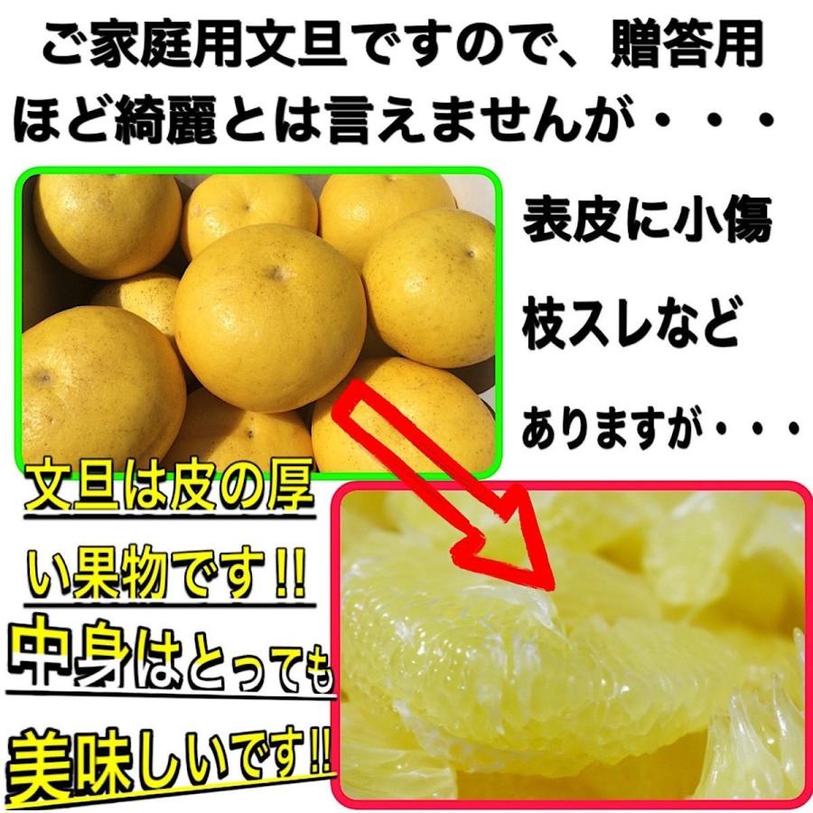 文旦 土佐文旦 5kg 大玉 4L 3L 混合 (約10玉前後）訳あり 家庭用 5キロ