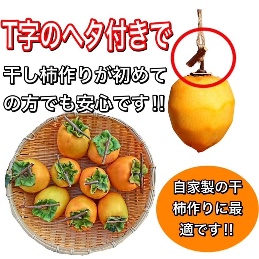 柿 かき あたご柿 (愛宕柿) 愛媛県 丹原産 干し柿 用 渋柿 約 10kg 大玉限定(L〜3Lサイズ混合) 枝付渋柿 干し柿 【予約販売 11月中旬よりご注文順に発送】 :kaki1:高知土佐文旦のお店よさ来い - 通販 - Yahoo!ショッピング 柿 かき あたご柿 (愛宕柿) 愛媛県 丹原産 干し柿 用 渋柿 約 10kg 大玉限定(L〜3Lサイズ混合) 枝付渋柿 干し柿 【予約販売 11月中旬よりご注文順に発送】 :kaki1:高知土佐文旦のお店よさ来い - 通販 - Yahoo!ショッピング