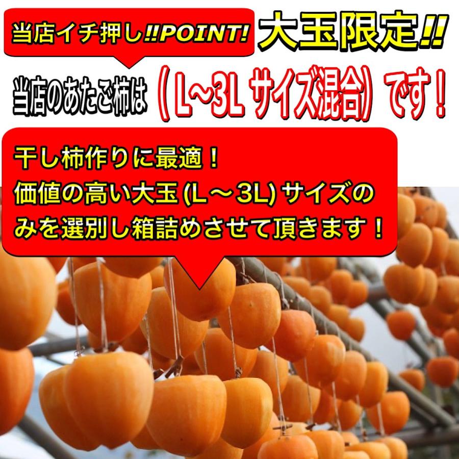 柿 あたご柿 干し柿渋柿 約 20kg 大玉限定(L〜3L混合) 《佐竹 柿 あたご柿 干し柿渋柿 約 20kg 大玉限定(L〜3L混合) 《佐竹