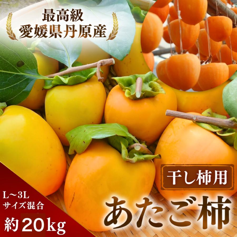 新品タグ付 17-18 アトレティコ サウール ワンダ柿落とし仕様 S ダッキーダック】厳選した高級柿「秋王」のタルトが新登場 | 東和