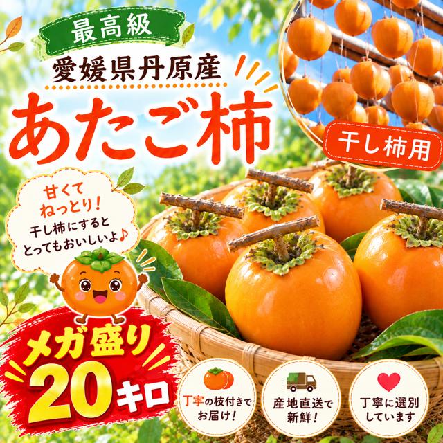 柿 あたご柿 干し柿渋柿 約 20kg 大玉限定(L〜3L混合) 《佐竹果樹園の