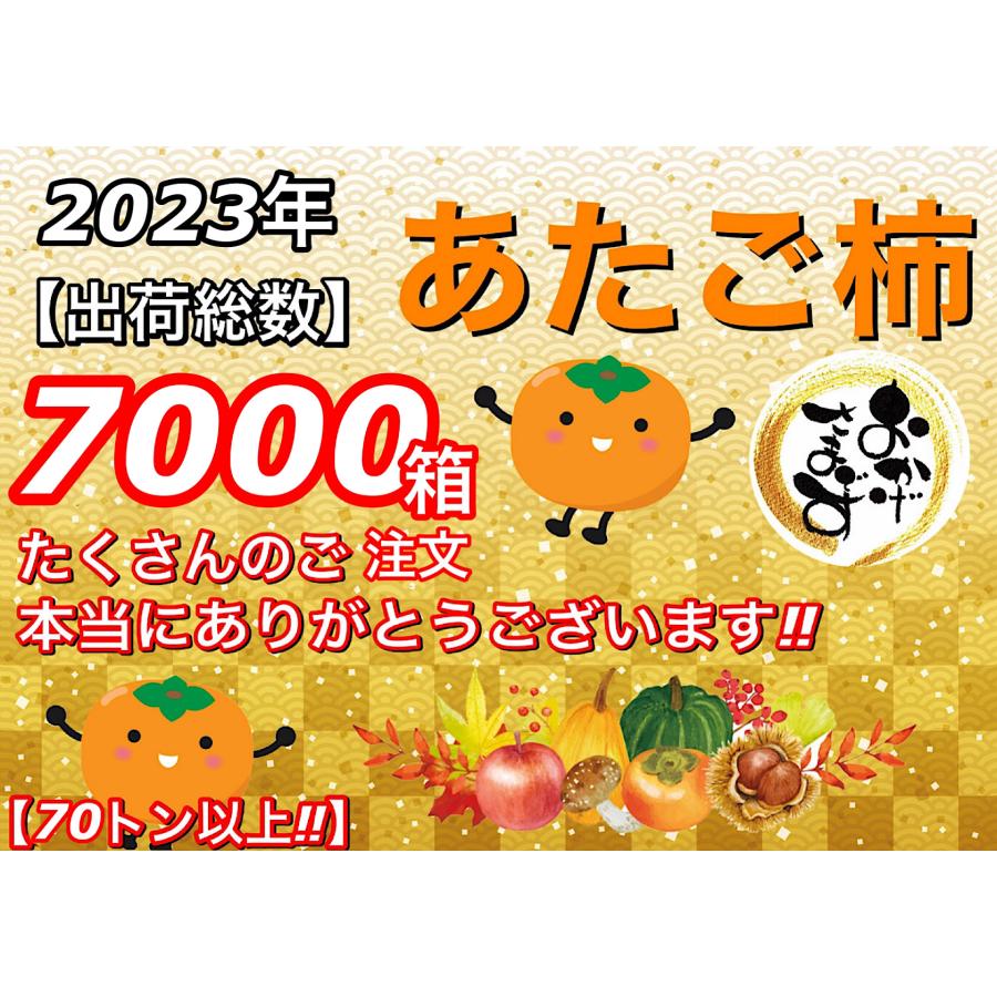 柿 あたご柿 干し柿渋柿 約 20kg 大玉限定(L〜3L混合) 《佐竹 柿 あたご柿 干し柿渋柿 約 20kg 大玉限定(L〜3L混合) 《佐竹