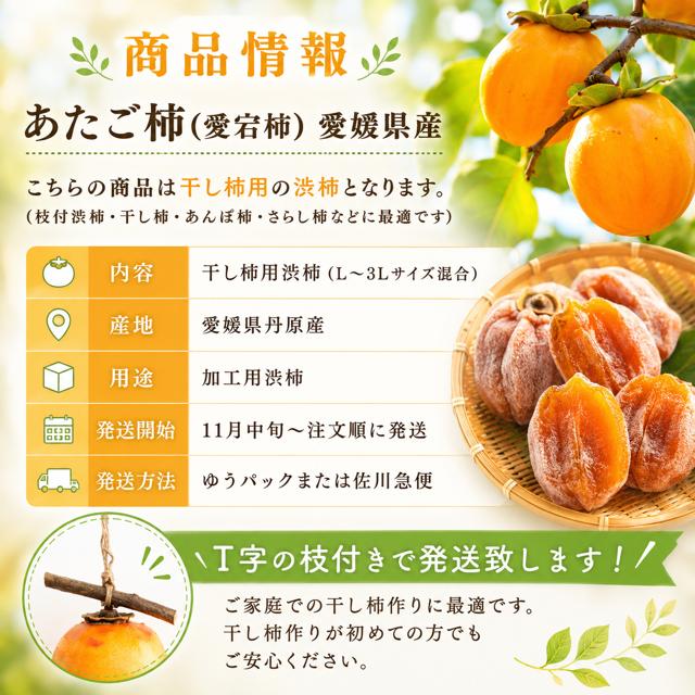 柿 あたご柿 干し柿渋柿 約 20kg 大玉限定(L〜3L混合) 《佐竹果樹園の