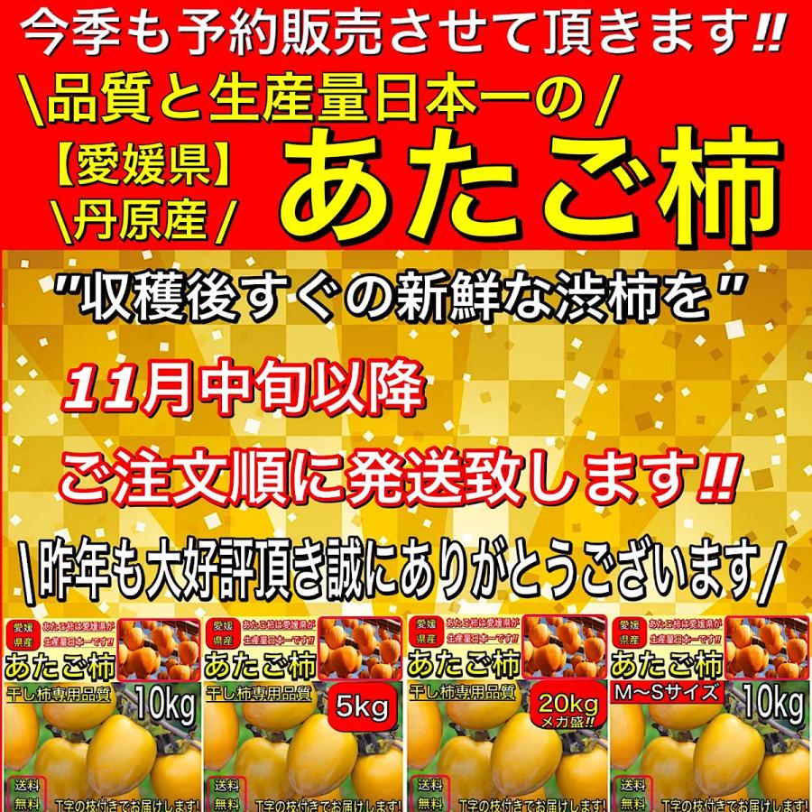No.306 愛媛県産 愛宕柿 あたご柿 干し柿用 渋柿 約30キロ 柿【2026年11月上旬より順次発送】 干し柿 用 渋柿！ あたご柿 10kg (M