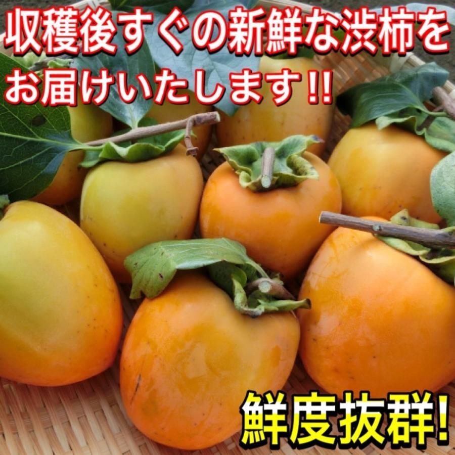 柿 かき あたご柿 (愛宕柿) 愛媛県 丹原産 干し柿 用 渋柿 約 10kg (M
