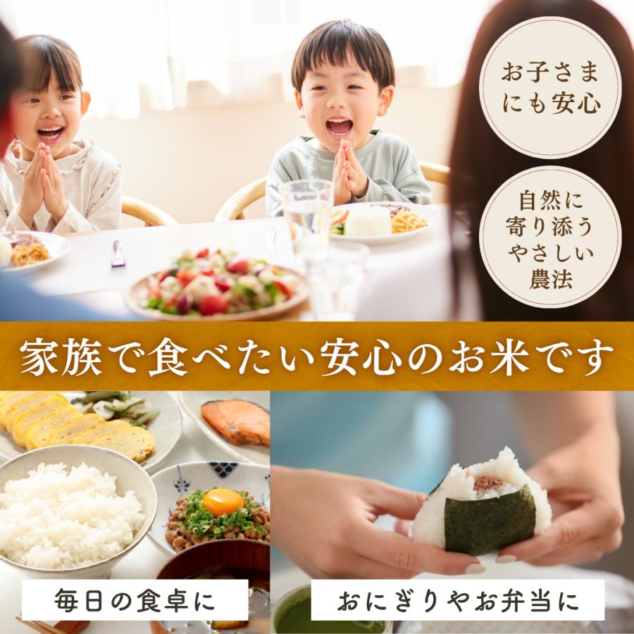 米 令和8年産 新米 5kg お米 高知県産 【 コシヒカリ 別格 5キロ 】令