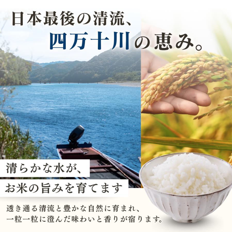 米 令和8年産 新米 5kg お米 高知県産 【 コシヒカリ 別格 5キロ 】令