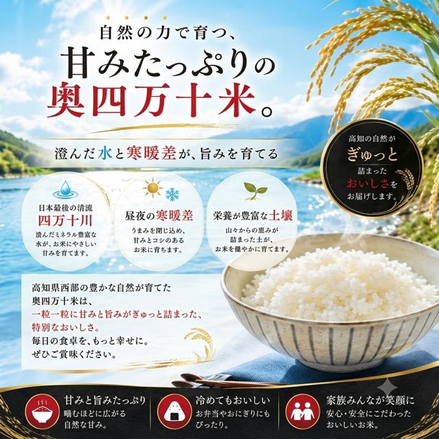 米 令和8年産 新米 5kg お米 高知県産 【 コシヒカリ 別格 5キロ 】令
