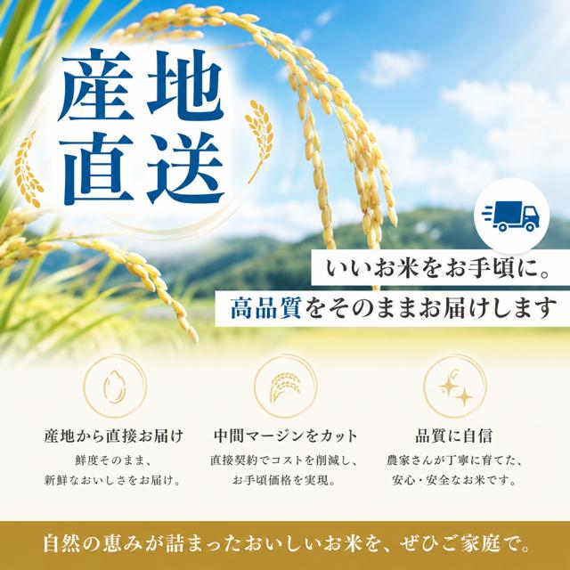 米 令和8年産 新米 5kg お米 高知県産 【 コシヒカリ 別格 5キロ 】令