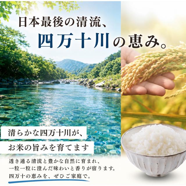 米 令和8年産 予約 新米 お米 10kg (5kg×2袋) 高知県産 【 コシヒカリ
