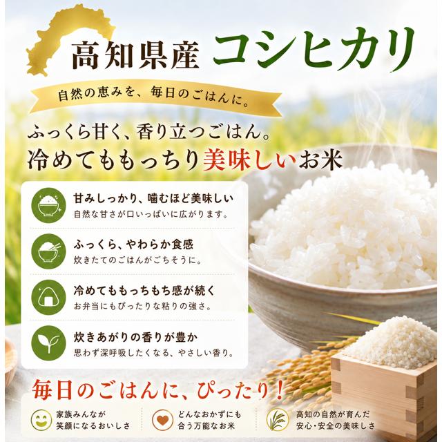 米 令和8年産 予約 新米 お米 10kg (5kg×2袋) 高知県産 【 コシヒカリ