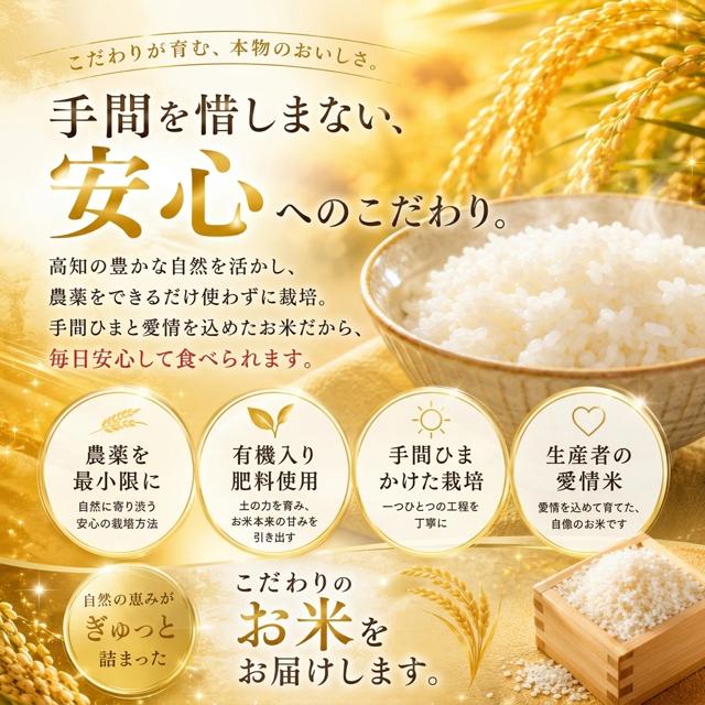 米 令和8年産 予約 新米 お米 10kg (5kg×2袋) 高知県産 【 コシヒカリ
