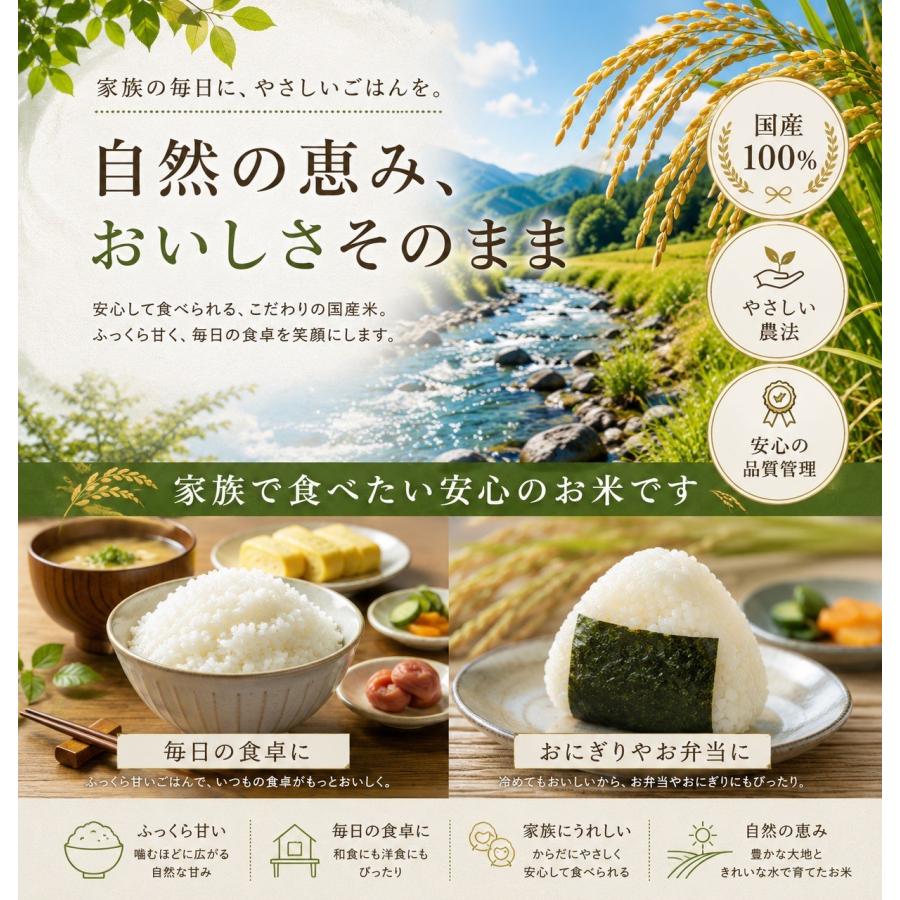 米 令和8年産 予約 新米 お米 10kg (5kg×2袋) 高知県産 【 コシヒカリ