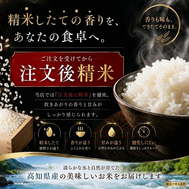 米 令和8年産 予約 新米 お米 10kg (5kg×2袋) 高知県産 【 コシヒカリ