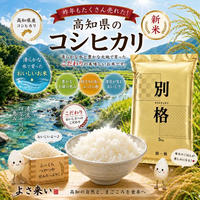 米 令和8年産 予約 新米 お米 10kg (5kg×2袋) 高知県産 【 コシヒカリ