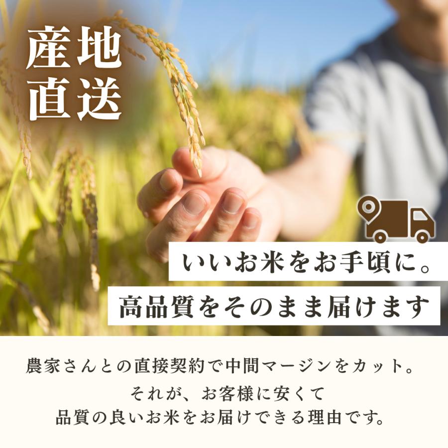 米 令和7年産 新米 お米 10kg (5kg×2袋) 高知県産 【 コシヒカリ 別格