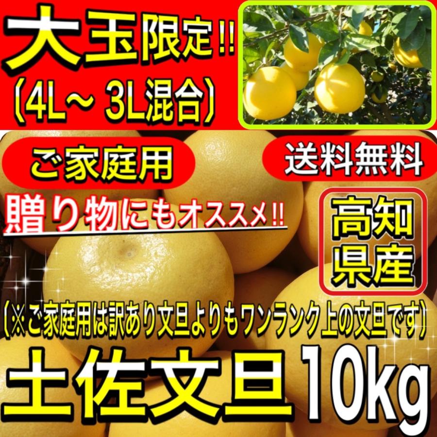 文旦 土佐文旦 大玉限定 4L 3L 混合 10kg  ご家庭用 ぶんたん 高知県産 露地文旦 訳あり 【家庭用１０キロ　４L３L混合　土佐文旦 】《3営業日以内に発送》｜yosakoi-yafuu-store