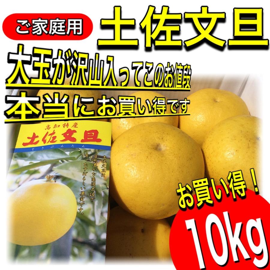 文旦 土佐文旦 大玉限定 4L 3L 混合 10kg  ご家庭用 ぶんたん 高知県産 露地文旦 訳あり 【家庭用１０キロ　４L３L混合　土佐文旦 】《3営業日以内に発送》｜yosakoi-yafuu-store｜02