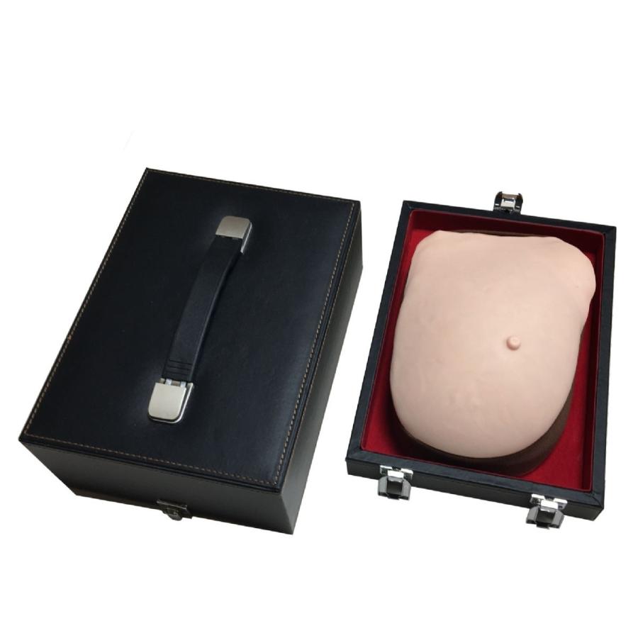 乳癌触診モデル(乳癌触診シミュレータ) GN-500 : 株式会社吉田生物研究